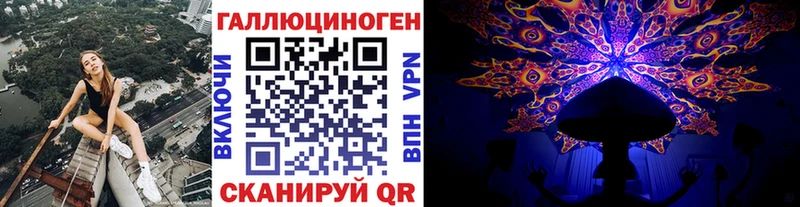 где купить   Суворов  Галлюциногенные грибы Magic Shrooms 